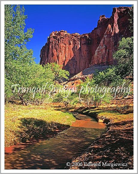 450399   The Freemont River in Frutia, Capital Reef N.P